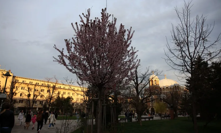 1 април - ден за размисъл - Tribune.bg