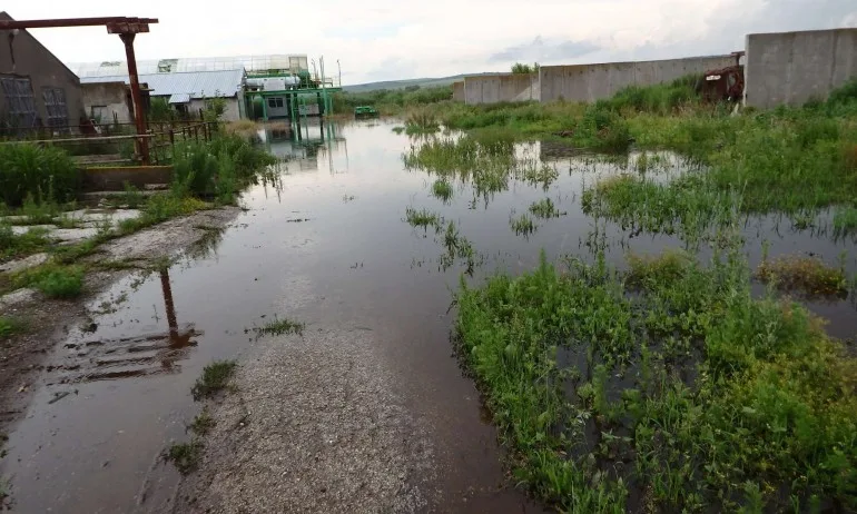 Преля река Студена, заля стотици декари - Tribune.bg