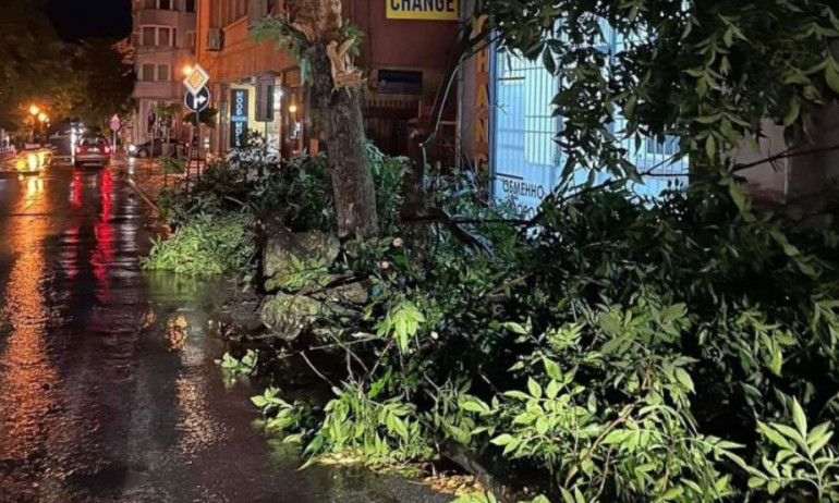 Силна буря затвори пътища в Сандански и остави Мелник без ток - Tribune.bg