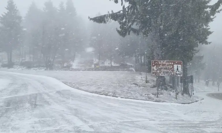 МВР: Отменете пътуванията си през почивните дни - Tribune.bg