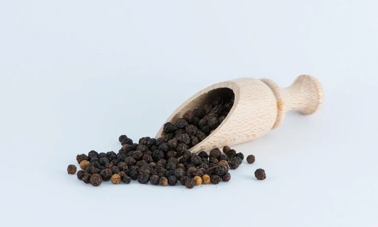 Черен пипер за слаба памет - Tribune.bg