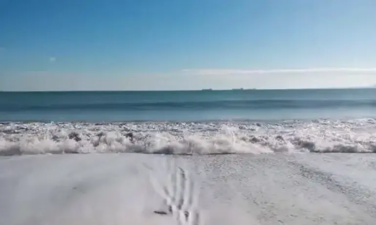 Заради огромните вълни: Пропадна пешеходната алея от Бургас до кв. Сарафово - Tribune.bg