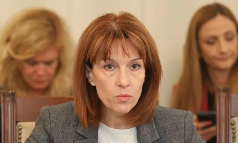 Камелия Нейкова за изборните секции в чужбина: Решението е политическо - Tribune.bg