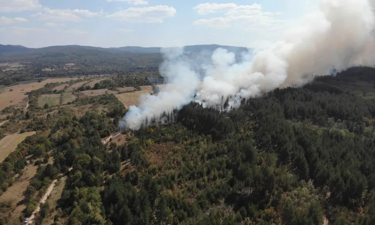 Пожарът в Сухото езеро в Рила е локализиран - Tribune.bg