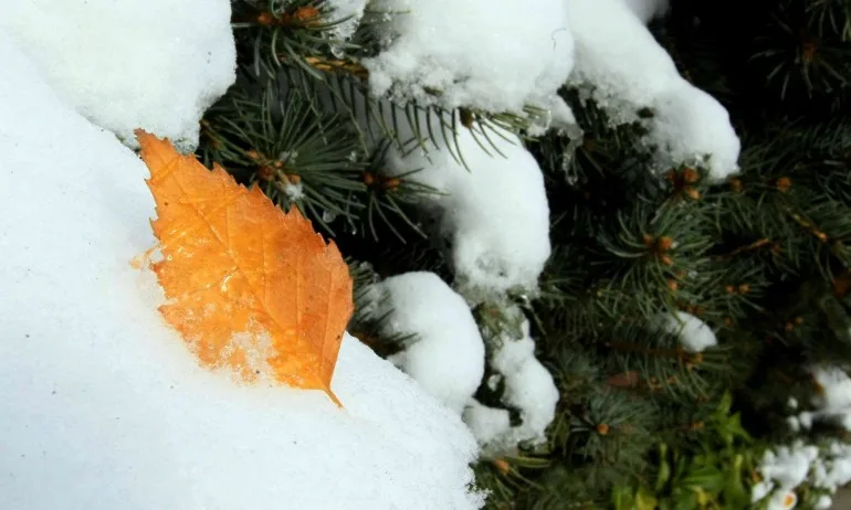 Зимата се завръща – ниски температури, дъжд и сняг - Tribune.bg