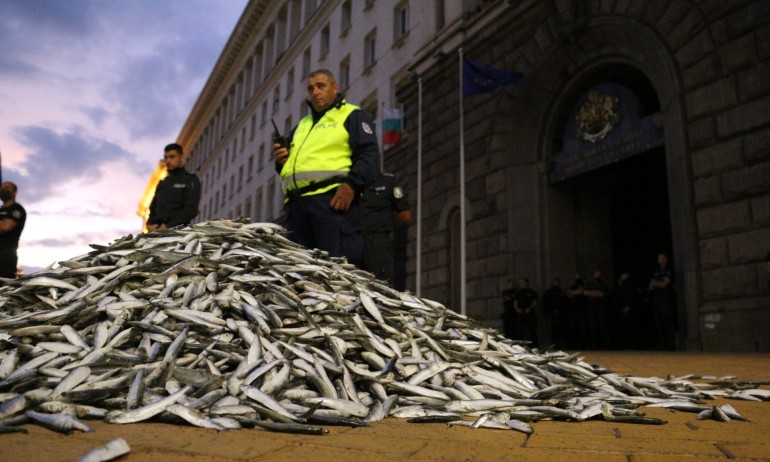 Унищожаването на храна продължава: Протестиращите съсипаха кашони с риба (СНИМКИ) - Tribune.bg