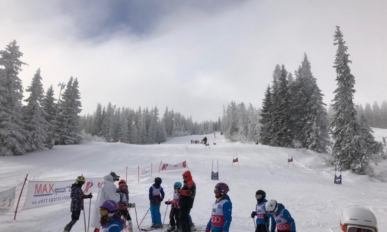 181 деца се състезаваха за купата Витоша ски - Tribune.bg