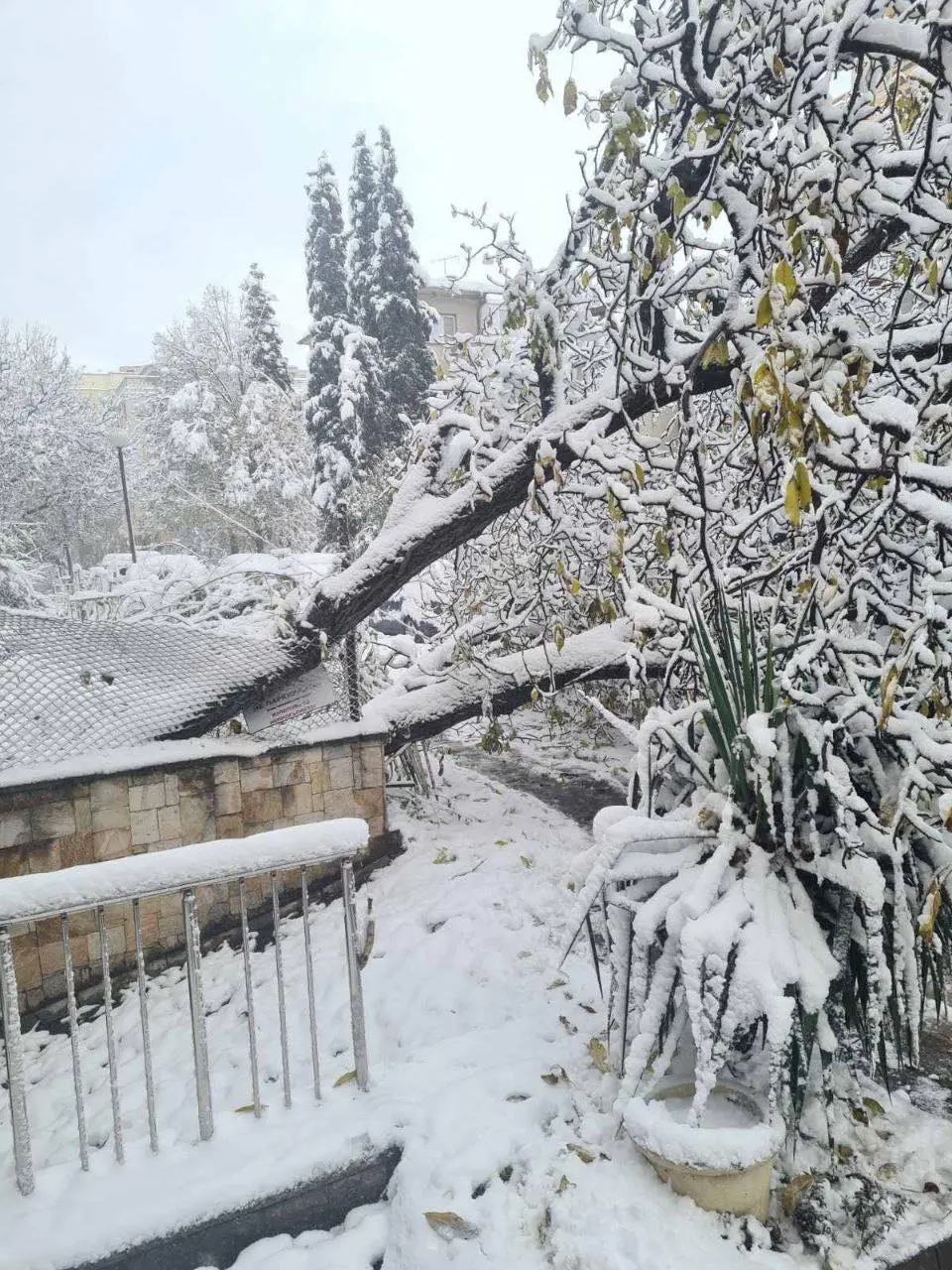 кв. Изток, София