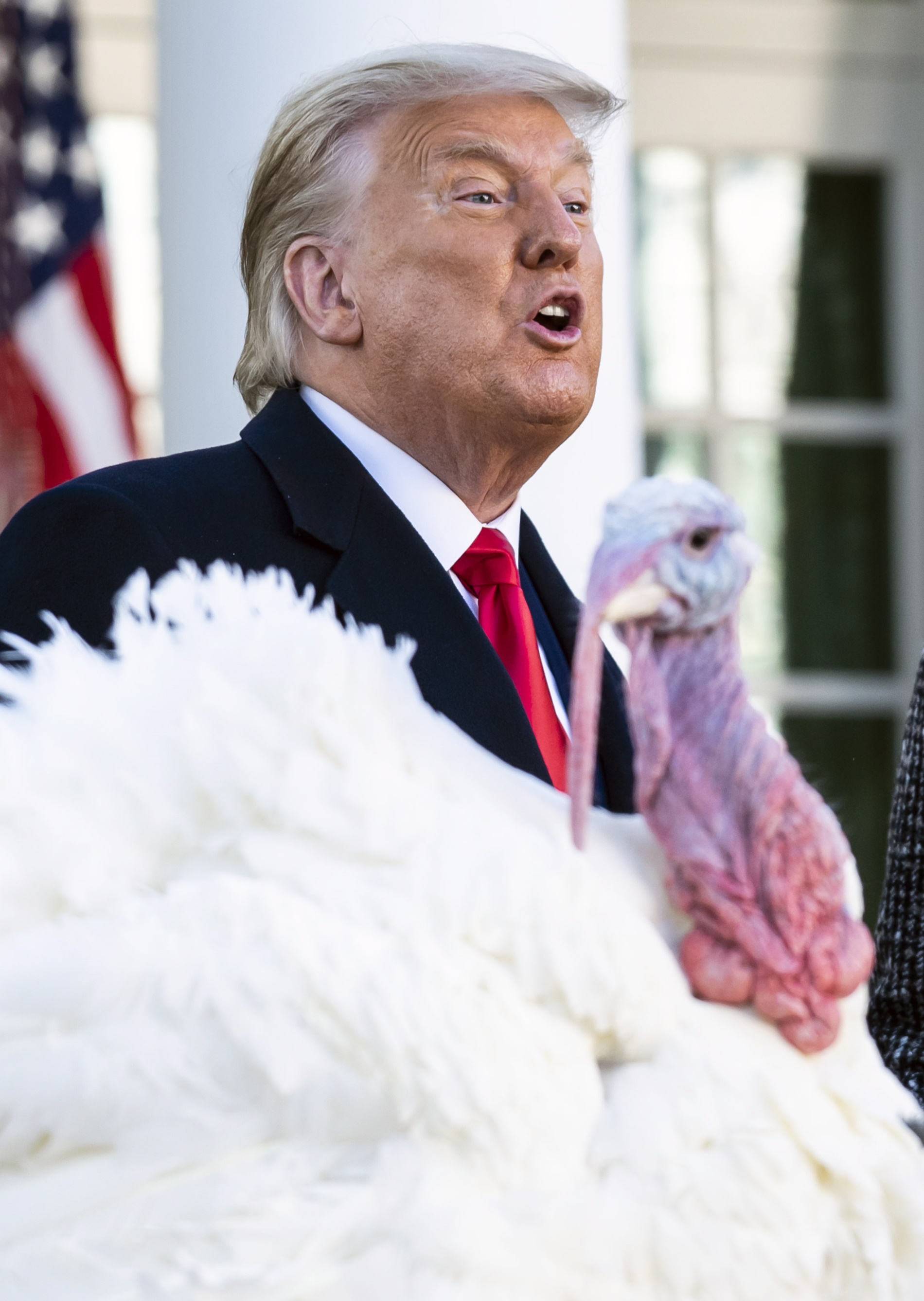 Тръмп помилва пуйки в Белия дом