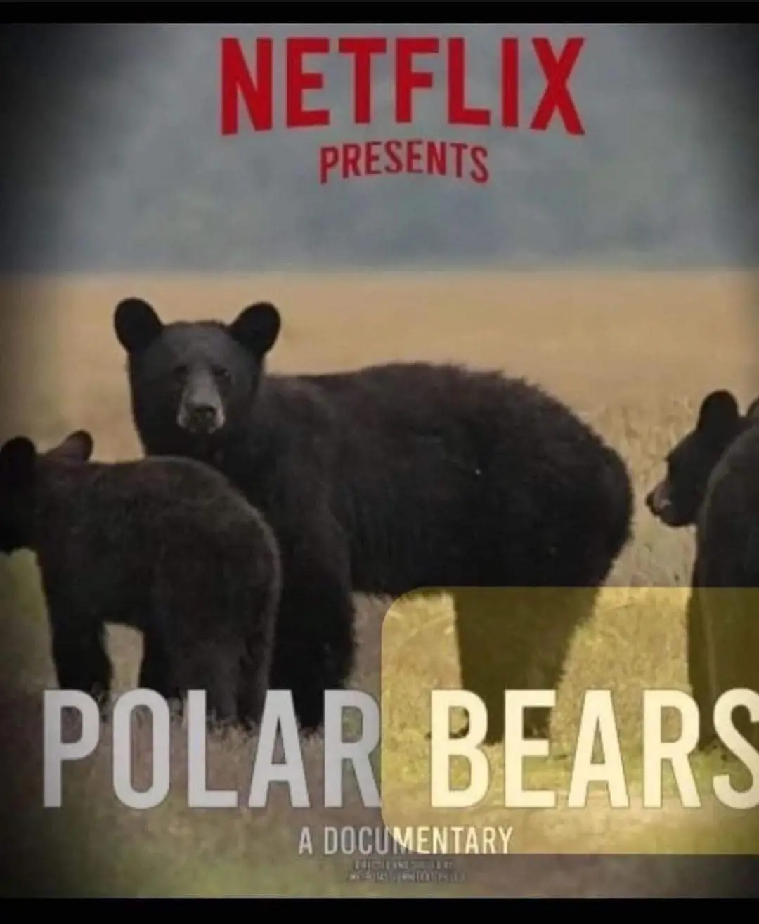 Филм за белите мечки