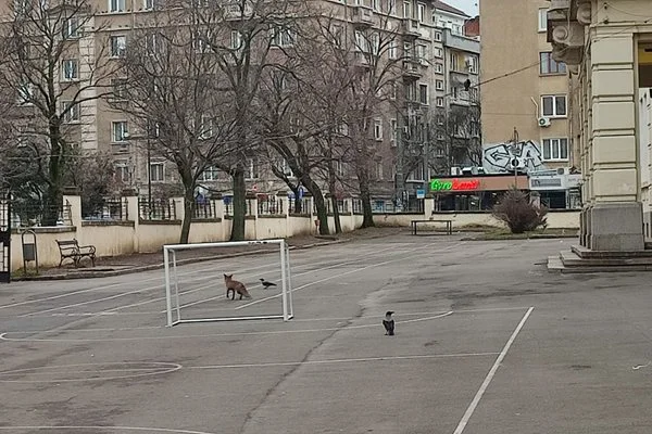  ФейсбукKrasimira Arsova 