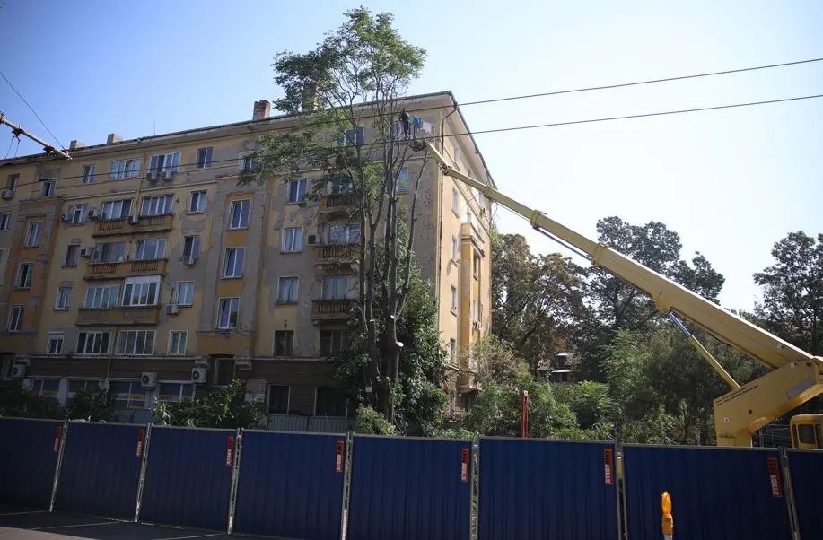 опълченска