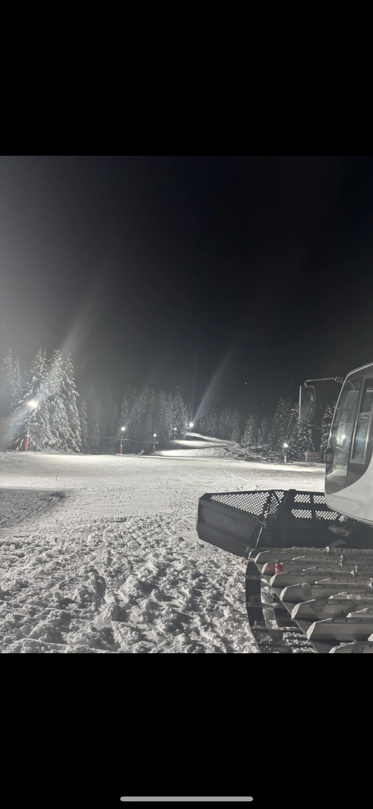  „ Звездица “, фотография Tribune.bg 