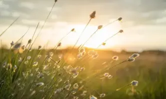 Жълт предупредителен код на територията на цялата страна обяви Националния