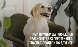 За поредна година Четири лапи започва кампания в която призовава