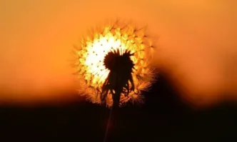 Слънчево затъмнение – врата към новото