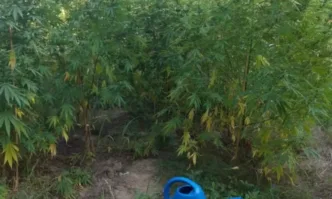 Двама мъже са задържани в момент на полагане на грижи