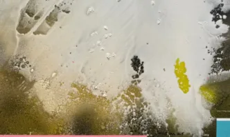 Нео романтизъм или брутализъм - пета самостоятелна изложба на Стилиян Дичев в галерия Нюанс