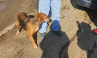 Община Благоевград откликна незабавно на молбата на кмета на Симитли