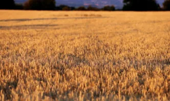 Целта е защита на родните производители чиято продукция залежава в