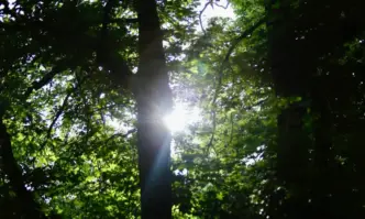 Слънчево и горещо ще е времето днес след обяд на