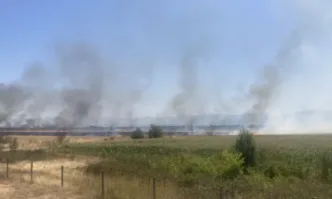 Пожар край 86 ия километър на автомагистрала Тракия се разгоря в