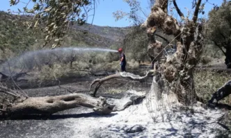Евакуираха село до Атина заради голям горски пожар