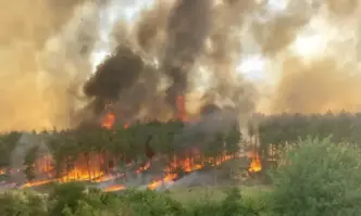 Пожарът край гълъбовското село Медникарово е потушен Tова каза старши