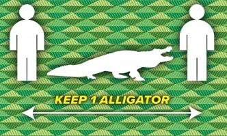 Заради COVID-19: Във Флорида хората трябва да са на разстояние един голям алигатор