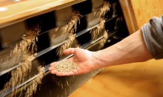 Ако войната приключи реалистичният сценарий е около 100 смятат експертите