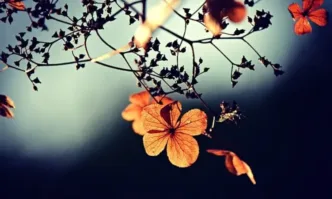 В петък облачността над страната ще се задържи предимно значителна