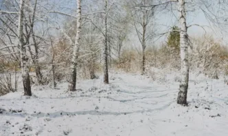 Атанас Мацурев празнува два важни юбилея с изложбата Средата на лятото в галерия Нюанс