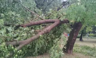Силна буря в Шумен, има пострадала жена