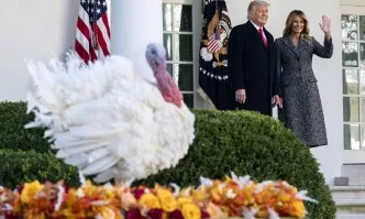 Тръмп помилва пуйките Царевица и Кочан в навечерието на Деня на благодарността
