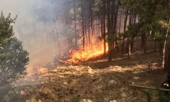 Втори пожар край Благоевград, горят десетки декари храсти и млади гори