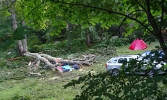 Дърво падна върху палатка и уби 29-годишна жена
