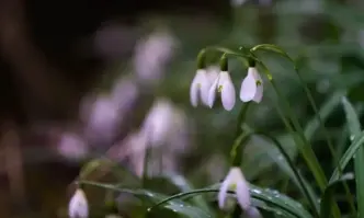 В събота преди обяд над Западна България ще е предимно
