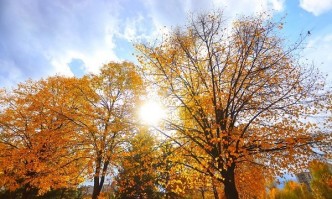 Над голяма част от страната ще бъде предимно слънчево Ще