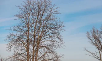 Днес ще преобладава слънчево и ветровито време Ще духа умерен