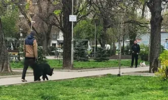 Стараем се да използваме възможно най съвременните подходи Тази година Столичната