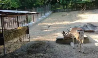 Постоянни и растящи са грижите на Община Ловеч за състоянието