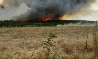 Пети ден продължава борбата с овладяването на пожарите в крайграничната