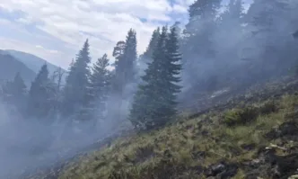 Военният Ми-17 помага за гасенето на пожара в Рила