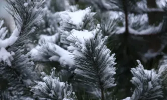 Днес времето ще се задържи облачно Снеговалежите в повечето райони