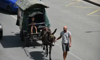 Френско палестинското семейство което пътува с каруца за Палестина е гост