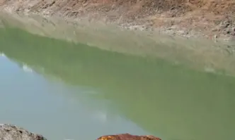 Пред екокатастрофа: Рибата в язовир Пясъчник край Пловдив масово измира