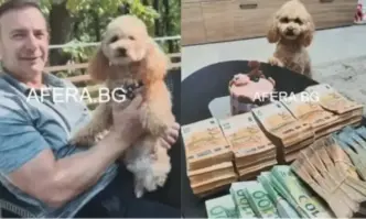 ПП реагираха за пореден път с особен инат на живот