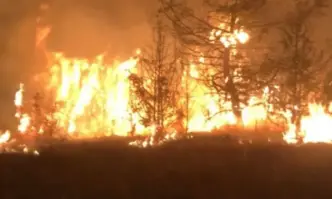 Пожар избухна в Северна Македония, достигна до границата с България