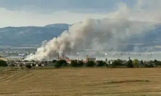 От самото начало се придържам към версията че това е