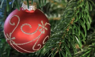 Новогодишни гадания: Гадаене по елхови клонки